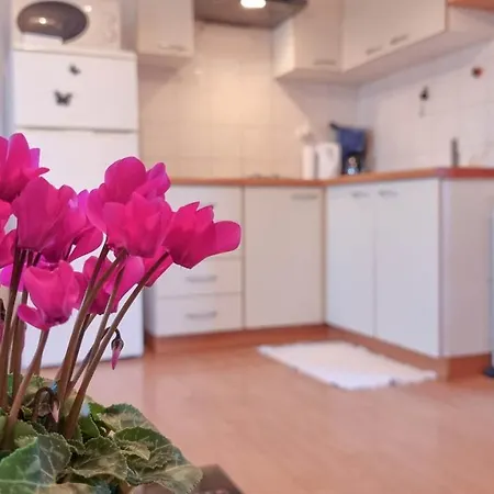 Franka Apartament