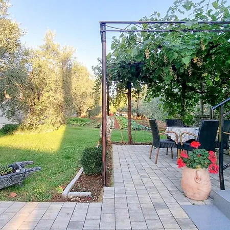 Apartament Franka